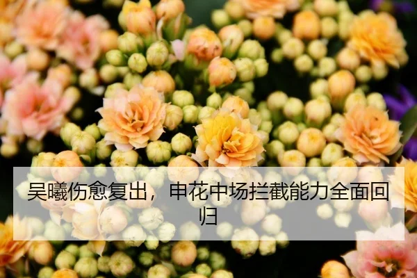 吴曦伤愈复出，申花中场拦截能力全面回归