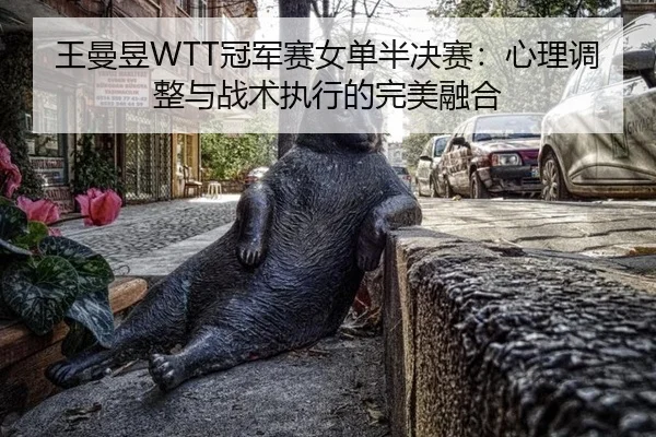 wang-man-yu-guan-jun-sai-nv-dan-ban-jue-sai-xin-li-tiao-zheng-yu-zhan-shu-zhi-xing-de-wan-mei-rong-he-2-300.jpg
