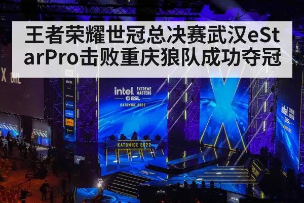 王者荣耀世冠总决赛武汉eStarPro击败重庆狼队成功夺冠