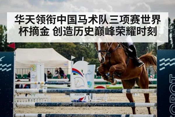 horse show jumping