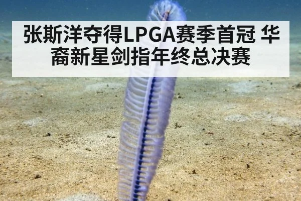 张斯洋夺得LPGA赛季首冠 华裔新星剑指年终总决赛